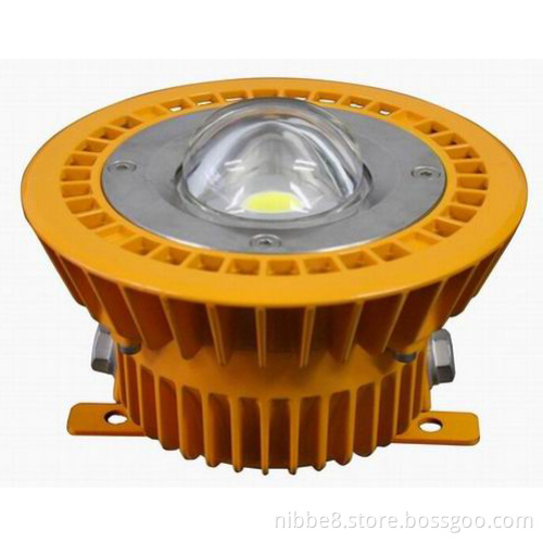 Atex Explosion Proof Light